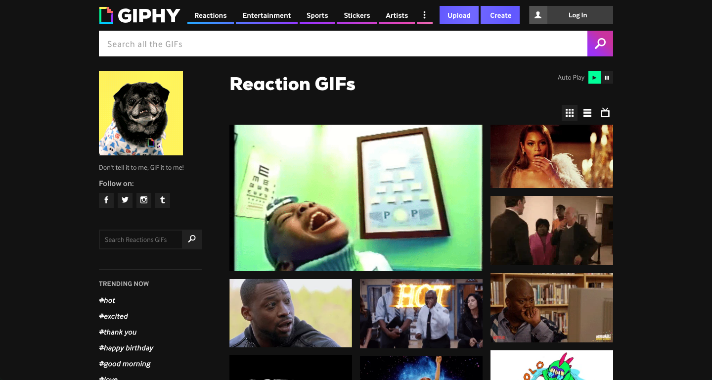 Giphy Reactions Page